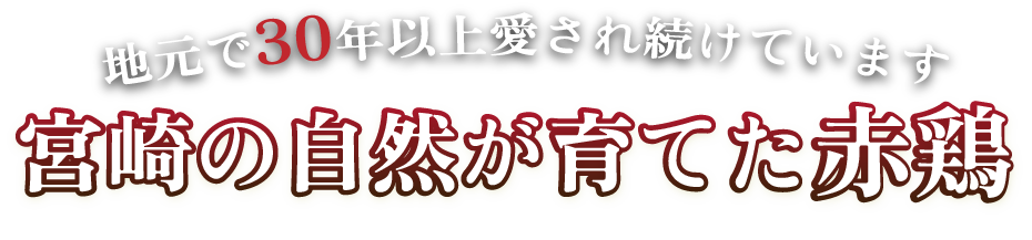 宮崎の自然が育てた赤鶏